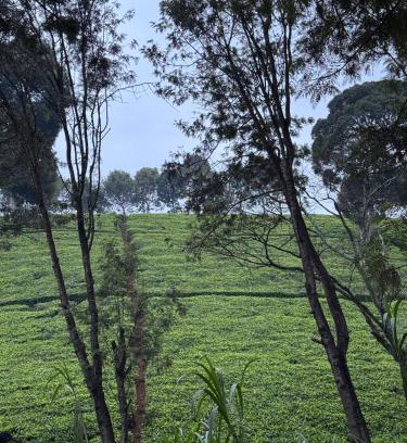 Limuru Skihütte | A little bit of heaven in TIGONi