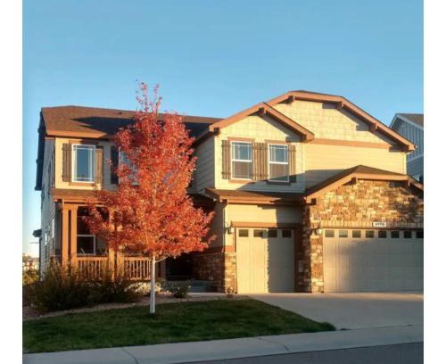Tucson Haus | A new spacious walkout base in Castle Rock Colorado
