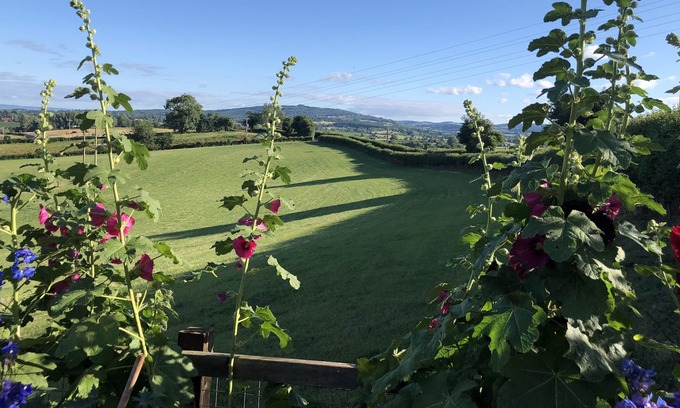 Newent Wohnung | A newly Renovated and Exclusive Studio