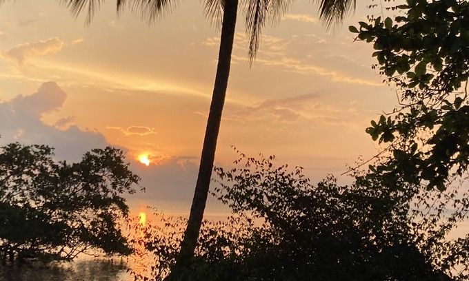 Palma Wohnung | A studio cabin with AC and WiFi. in a Tropical Paradise setting.