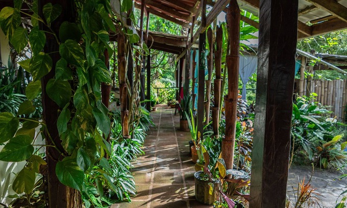 Penas Blancas Haus | Ein einzigartiges tropisches Dschungelerlebnis zwischen magischen Gärten und Regenwald.