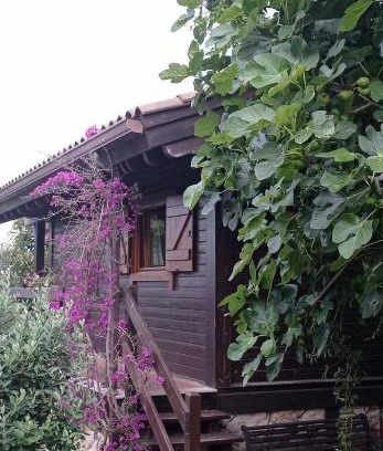 Campo Lameiro Haus | Acogedora cabaña con piscina