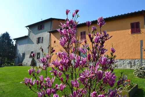 Rignano sull'Arno Haus | Agriturismo La Querce