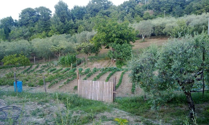 Felitto Sonstige | Agriturismo le Cammarose