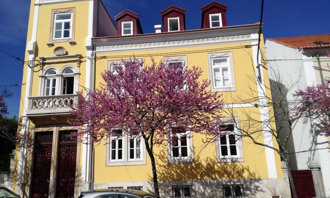 Se Nova Bed & Breakfast | Studio 33 - Historisches Zentrum - Studio für 3 Personen