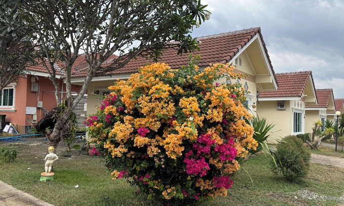 Soi Dao Hotel | Thanawan Resort