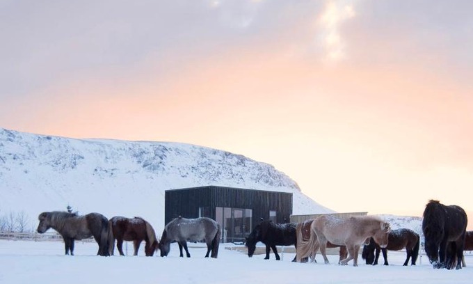 Sveitarfelagid Olfus Haus | Akurgerði Guesthouse 4 - Country Life Style