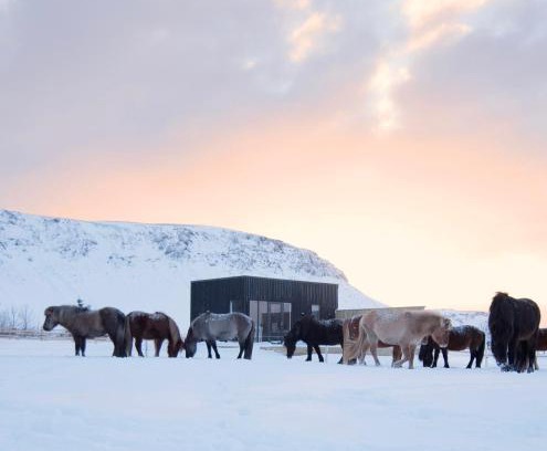 Sveitarfelagid Olfus Haus | Akurgerði Guesthouse 8 - Country Life Style