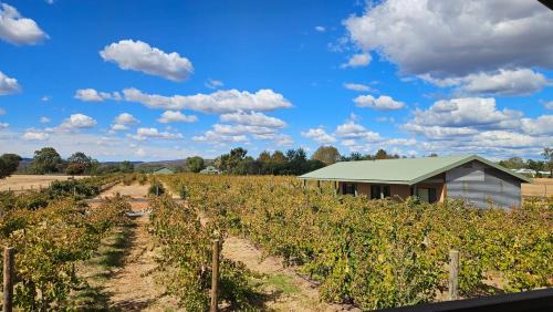 Henley Brook Wohnung | Albion On Swan