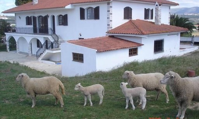 Alcobaca Wohnung | Casa São Bernardo -Apart auf Etage 0-6 / 8 Pax- Neben dem Kloster und in der Nähe der Strände