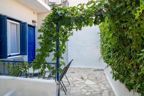 Pythagorion Wohnung | Alkmini's