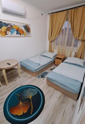 Sashalom Haus | All-in-a Good Space