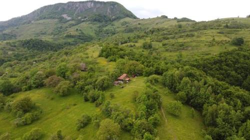 Blajeni Haus | Almost Heaven - cabană cu vedere în Apuseni