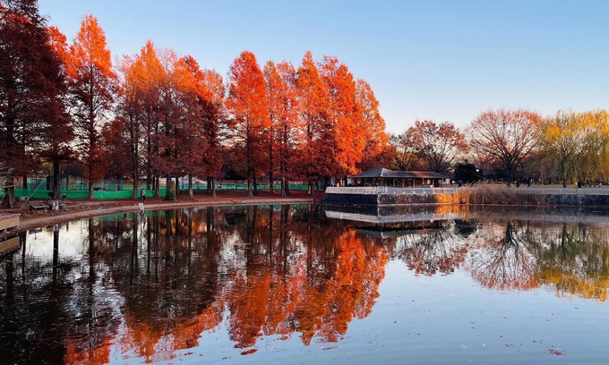 Itabashi Haus | [Alo BnB 7] - Near IKEBUKURO, SHINJUKU, UENO, GINZA, SHIBUYA - Self check-in