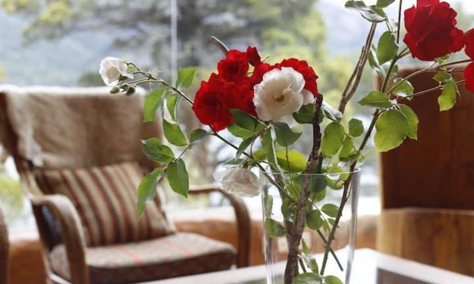 San Jose Wohnung | Alojaminto Ester González