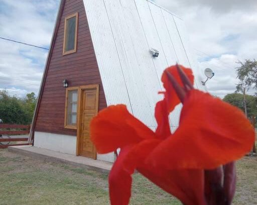 San Agustin de Valle Fertil Haus | Amancay Cabaña alpina en Valle Fértil