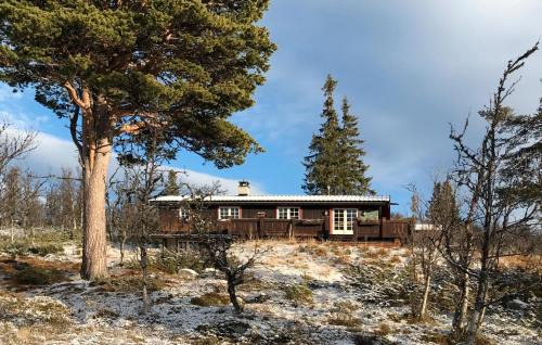 Al Municipality Haus | Amazing Home In Tunhovd With Sauna