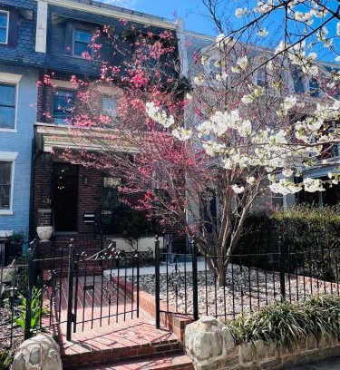 Bloomingdale Wohnung | Amma's Place