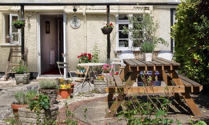 Chard Haus | Ammonite Lodge Guest House