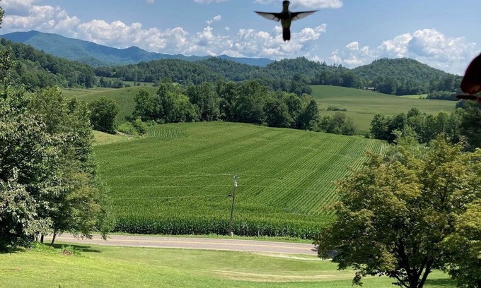 Franklin Haus | Genießen Sie einen ruhigen Kurzurlaub in den Bergen in der Nähe von Franklin, North Carolina