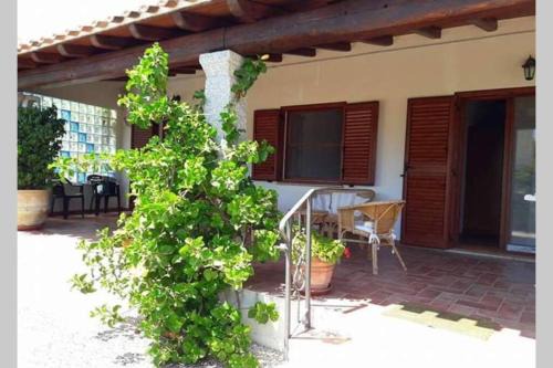 Tancau Sul Mare Haus | Angolo relax a due passi dal mare