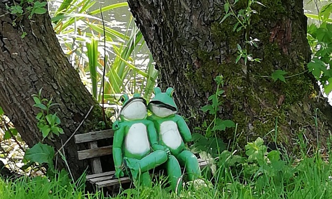 Dolgen Wohnung | Ferienwohnung 'Am Froschteich' mit Privatterrasse, Gemeinschaftsgarten und WLAN