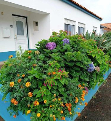 Santa Cruz das Flores Wohnung | Apartamento da Matilde