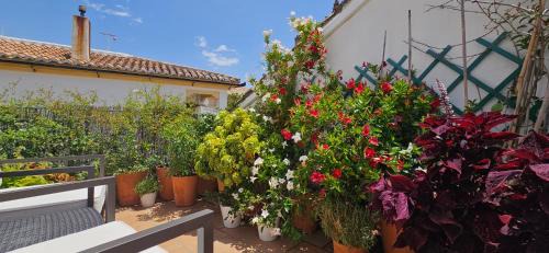 Ronda Wohnung | Apartamentos Los Descalzos Ángel With Private Terrace Free Parking