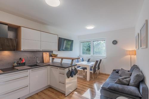 Cerna V Posumavi Wohnung | Apartmán Černá v Pošumaví