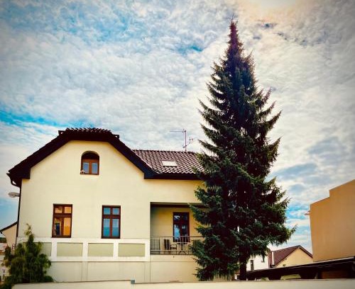 Dvur Kralove nad Labem Wohnung | Apartmán U SMRKU