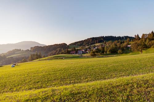 Tolmin Wohnung | Apartmaji Pr-Gujlu Sela nad Podmelcem 5220 TOLMIN