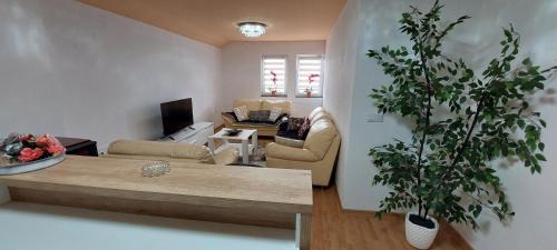 Gradacac Wohnung | Apartman Citadel