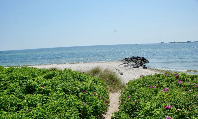 Fehmarnsund Wohnung | Apartment /app. for 4 guests with 100m² in Fehmarn OT Fehmarnsund (22244)