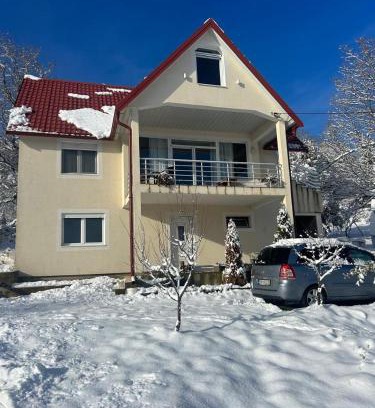 Poscenje Wohnung | Apartment Bašović