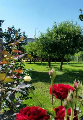 Koprivnica Haus | Apartment Cecilia Koprivnica