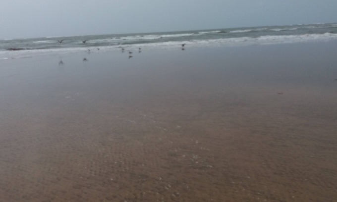 Lamharza Essahel Wohnung | Apartment