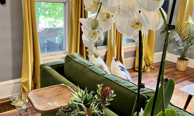 West Akron Wohnung | Apartment with a boho, relaxed and soulful vibe in the heart of Highland Square.