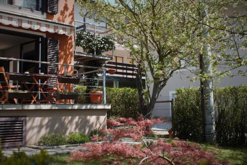 Tuhelj Wohnung | Apartments Livun Tuheljske Toplice