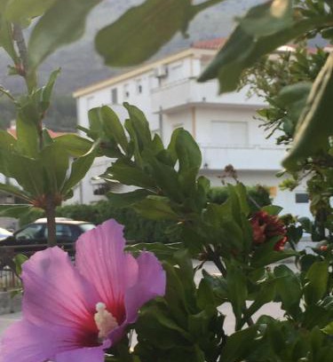 Strozanac Wohnung | Apartments with a parking space Podstrana, Split - 16032