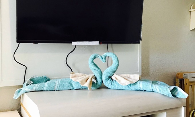 Cocoa Hotel | Apollo Inn Motel