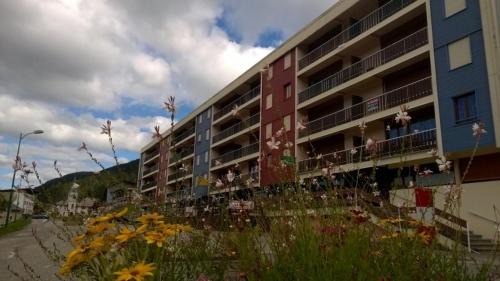 Lelex Wohnung | Appartement spacieux tout confort pied des pistes