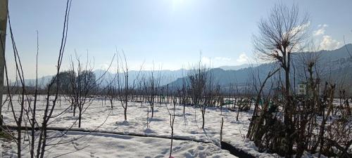Pahalgam Wohnung | Apple Garden view and restaurant