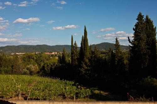 Greve in Chianti Wohnung | Apt Alice - Apartment in the Vineyards