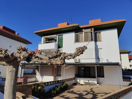 L'Eucaliptus Wohnung | Arte y natura en la playa de Eucaliptus