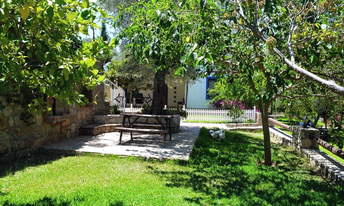 Datca Haus | Artolive Datca