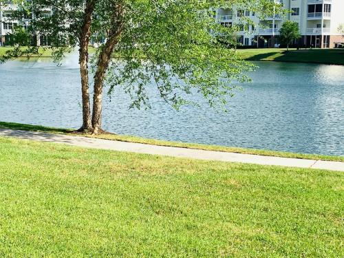 Central Myrtle Beach Haus | Astonishing view great condo at Myrtlewood Villas