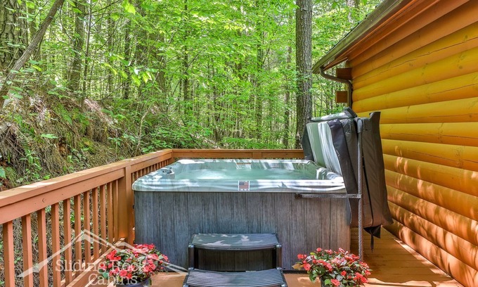 Ellijay Kabine | Autumn's Hollow : one story, easy access, 2/2, HOT TUB, pet friendly, lake,