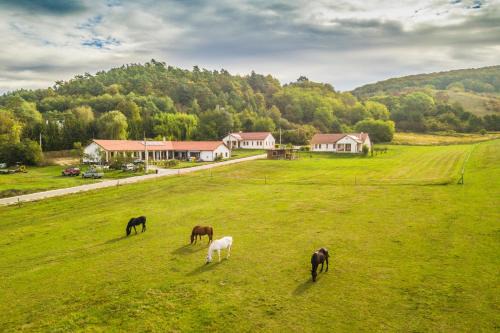 Banhorvati Haus | Bánvölgye Vendégház és Apartmanok