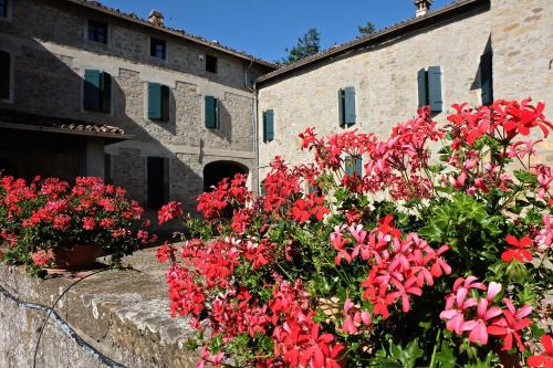 Neviano degli Arduini Wohnung | B&B Cortebonomini apartment