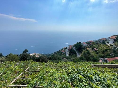 San Michele Bed & Breakfast | B&b La Vigna